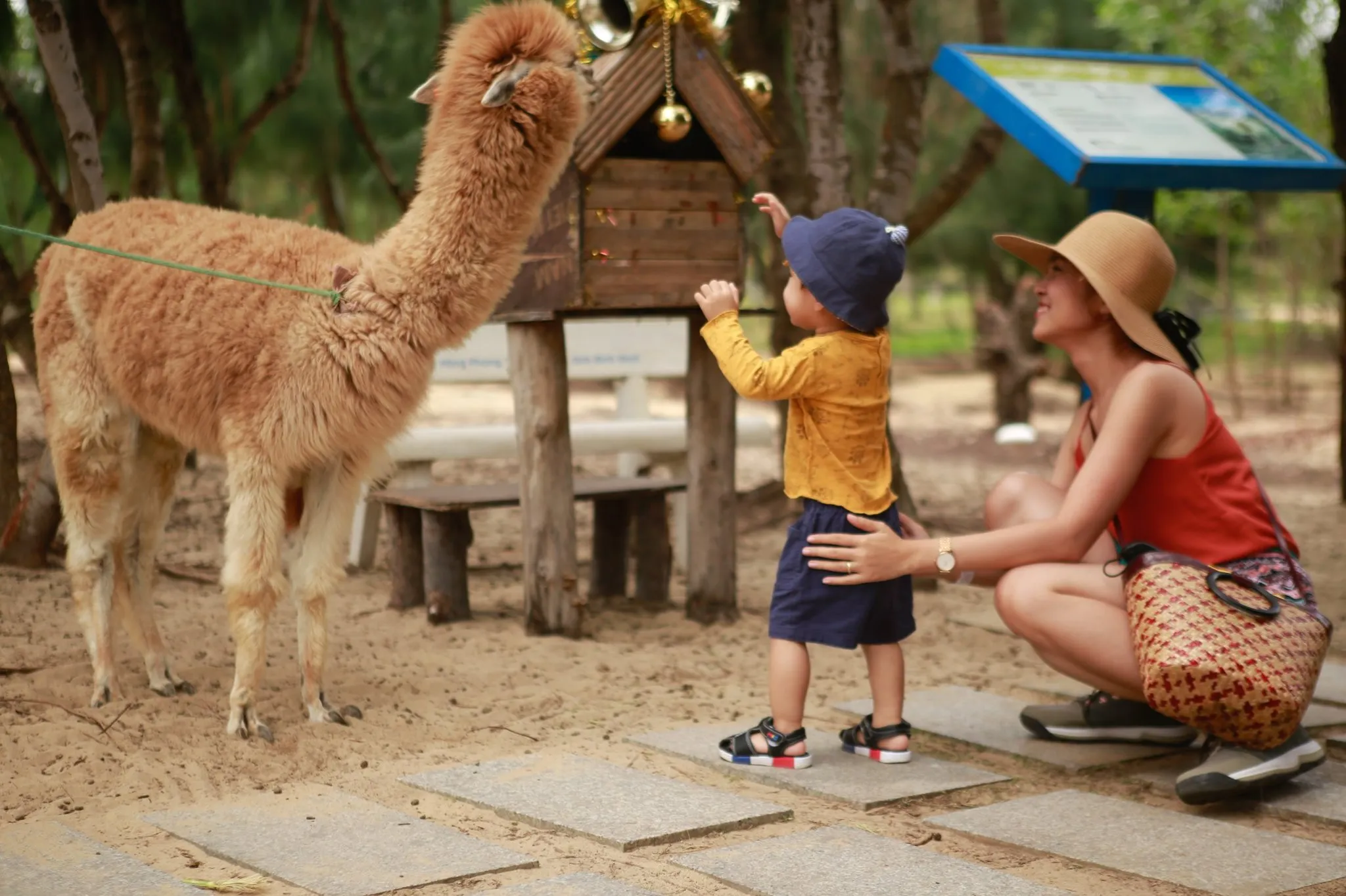 FLC Zoo Safari Park Admission Ticket | Quy Nhon
