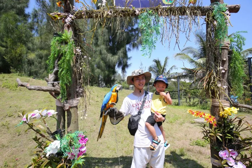 FLC Zoo Safari Park Admission Ticket | Quy Nhon