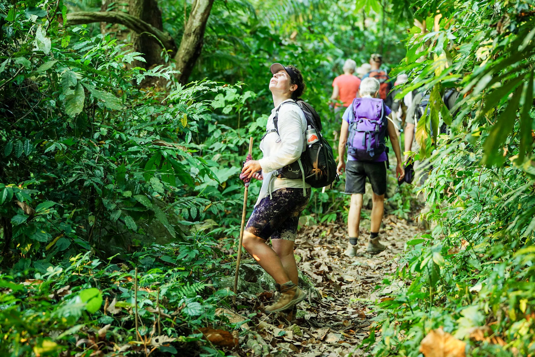 Day Tour | Trekking Tour at Ba Be National Park | Bac Kan