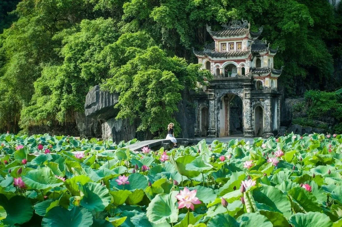 2D1N Tour | COMBO: Explore Hạ Long Bay on Sonata Cruise and Discover Ninh Binh with Flexible Itinerary