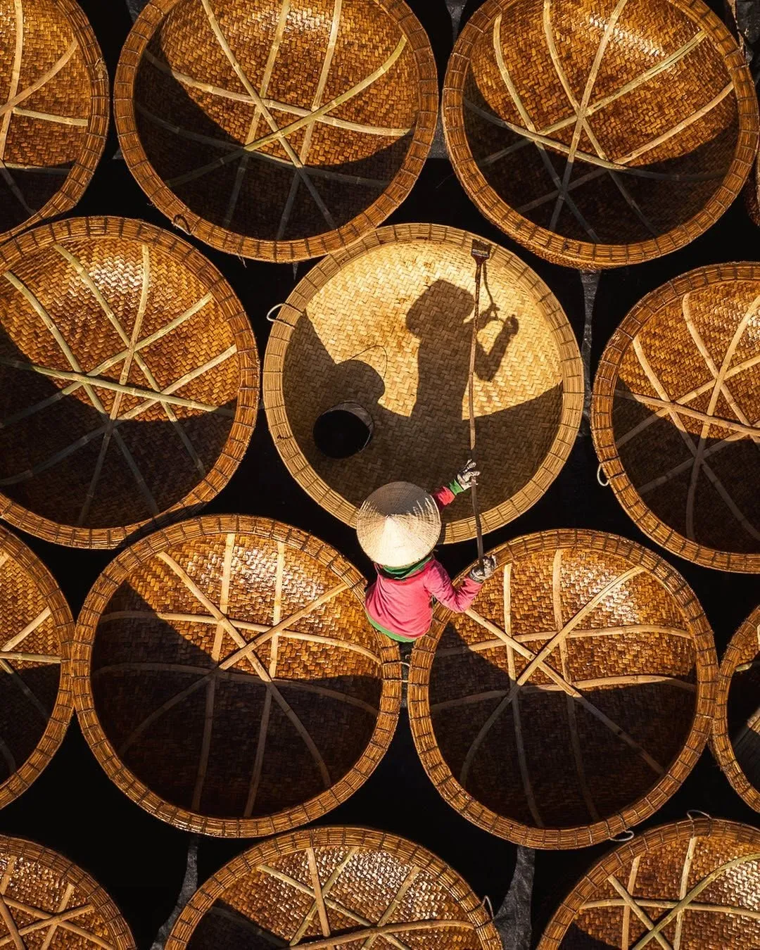 Day Tour | Cultural Experience in Cam Thanh Coconut Village | Da Nang