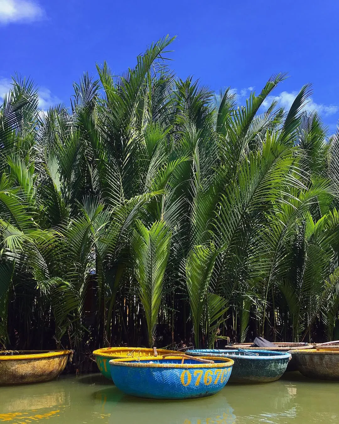 Day Tour | Bicycle Tour to Explore the Beauty of Cam Thanh Coconut Forest and Farming Experience at Tra Que Vegetable Village | Da Nang