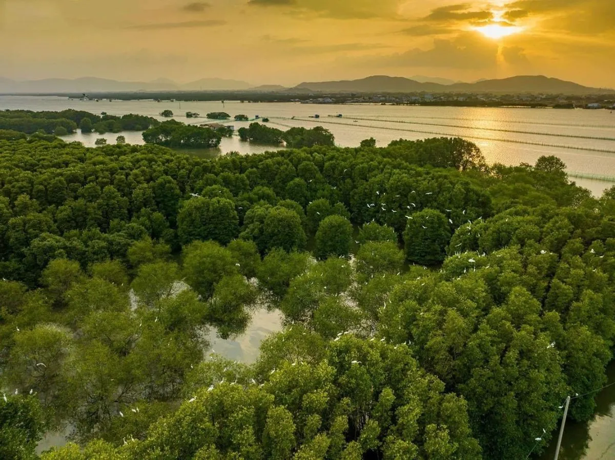 Day Tour | Discover Con Chim Islet Tuy Phuoc | Quy Nhon