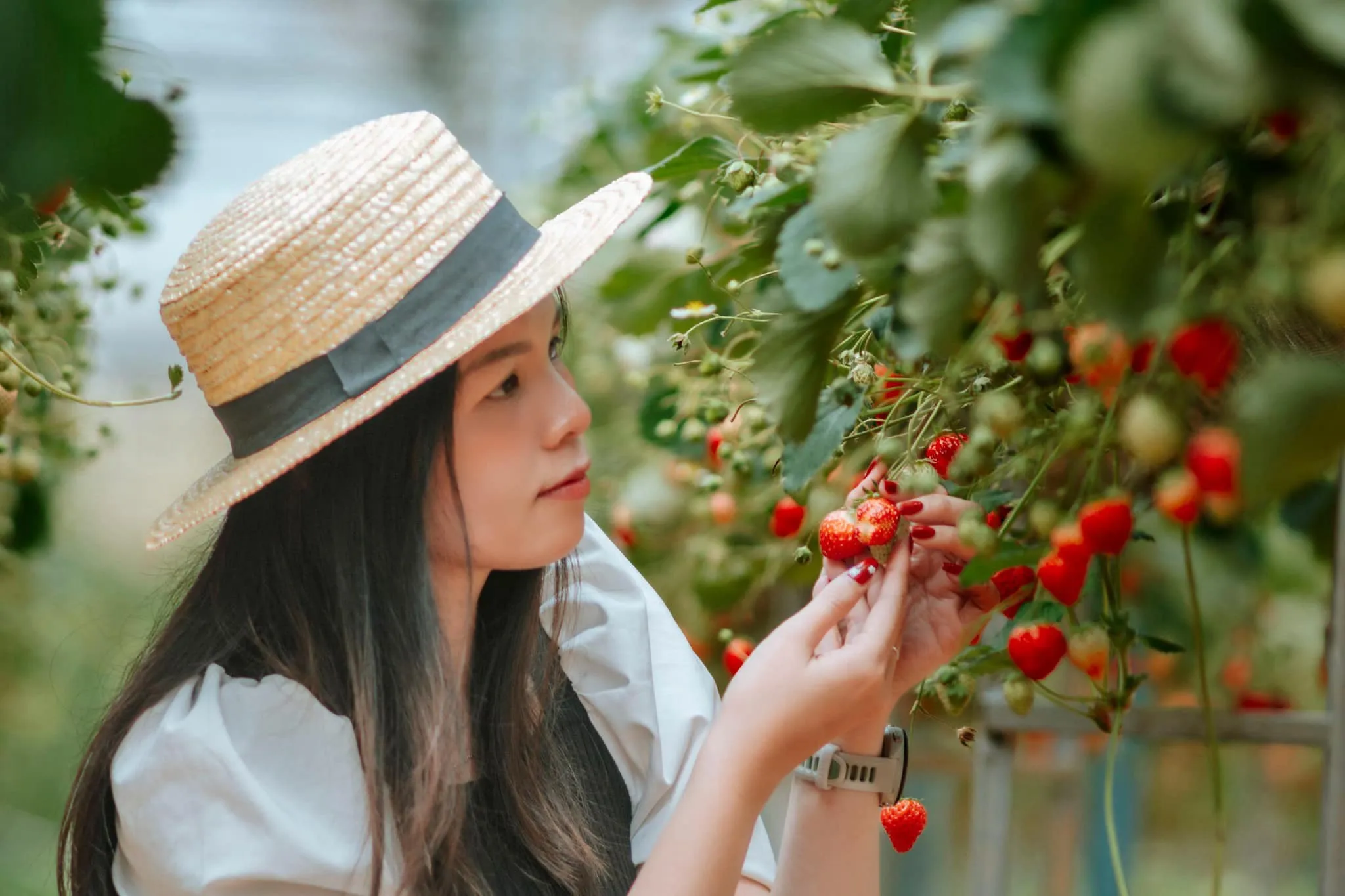 Vé vào cửa Khu du lịch Liang Biang I Đà Lạt