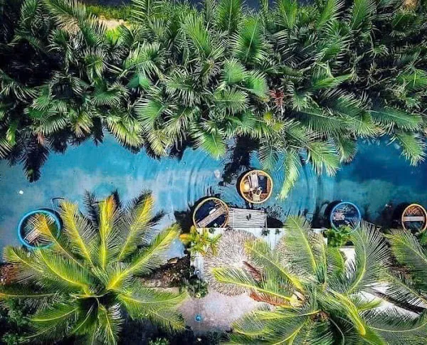 Day Tour I Exploring Cam Thanh Coconut Village | Departs from Hoi An 