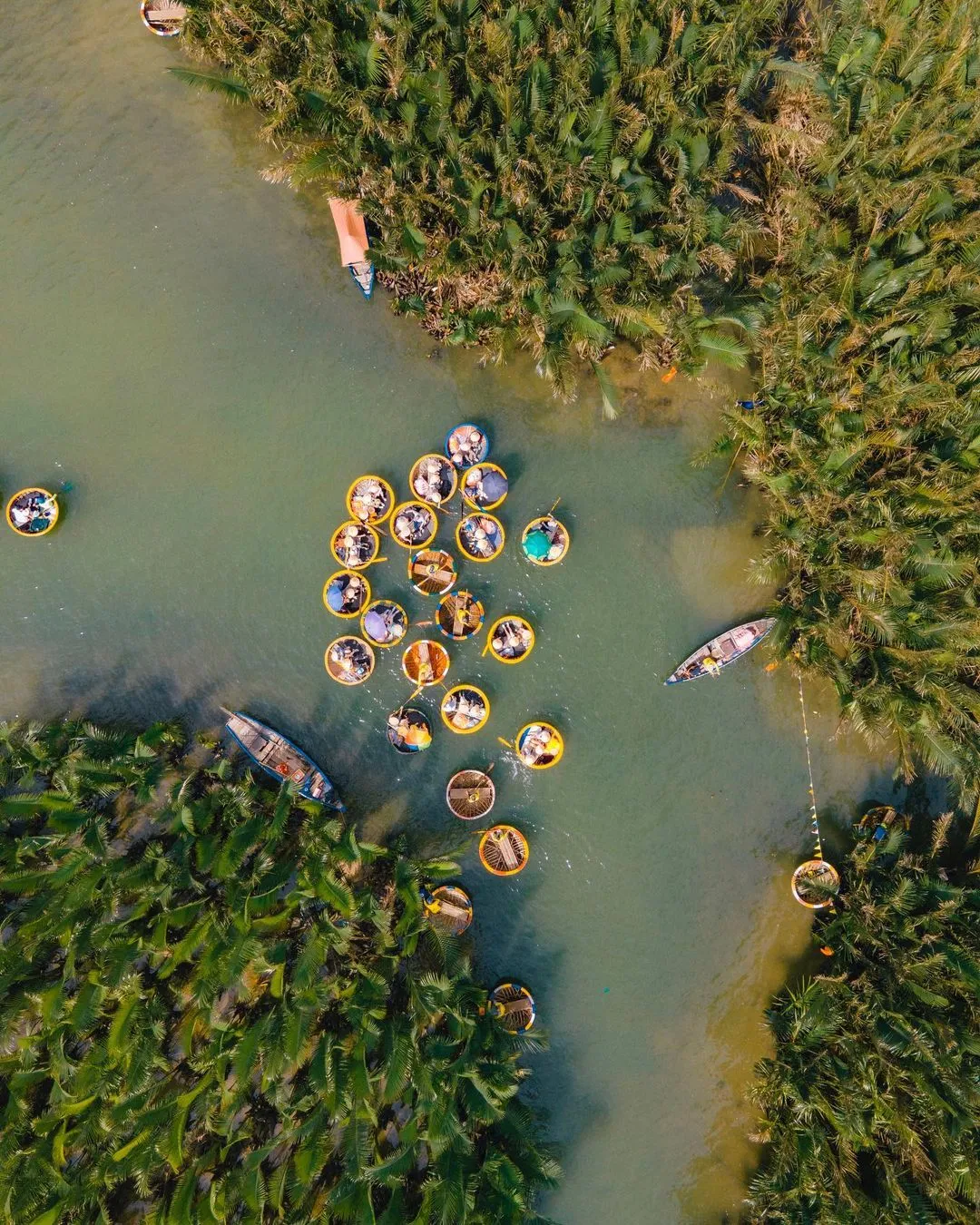 Day Tour I Exploring Cam Thanh Coconut Village | Departs from Hoi An