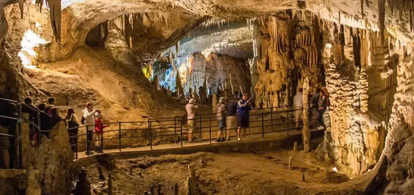 Day Tour | Phong Nha Cave & Paradise Cave Exploration | Departs from Dong Hoi