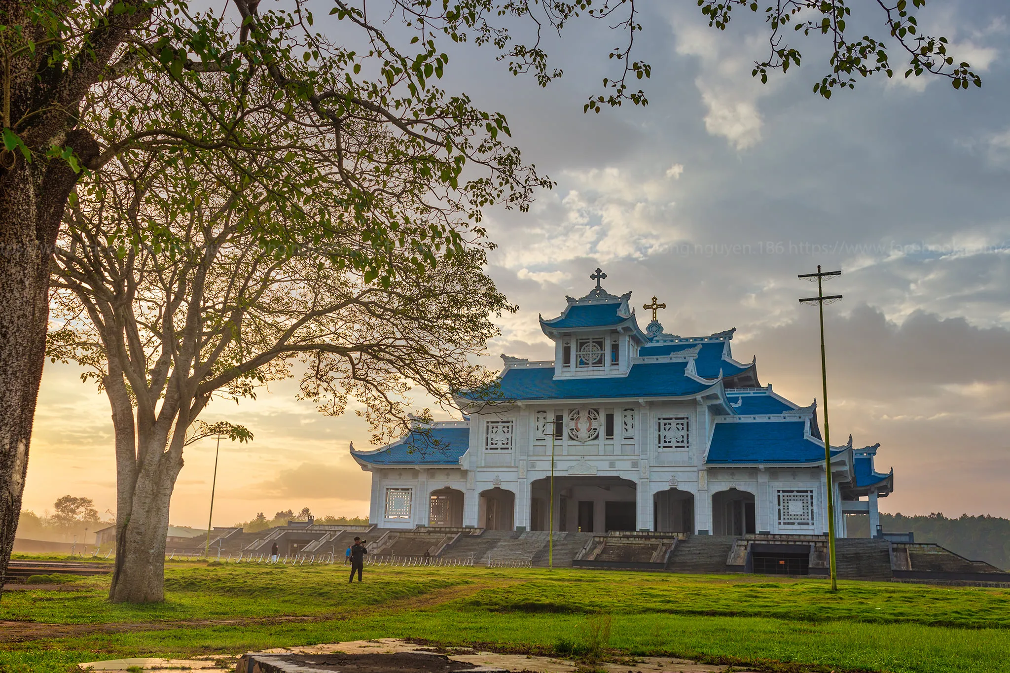 Day Tour | Paradise Cave Exploration in Quang Binh (Departs from Hue)