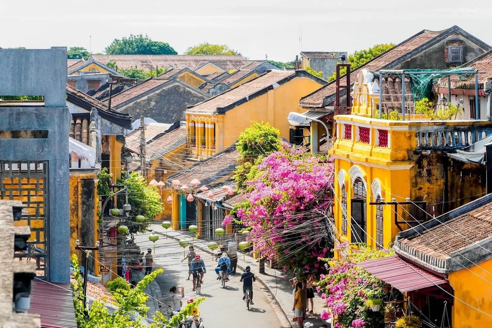 Day Tour | Private Tour to Explore Hoi An Ancient Town & My Son Sanctuary Departs from Da Nang City