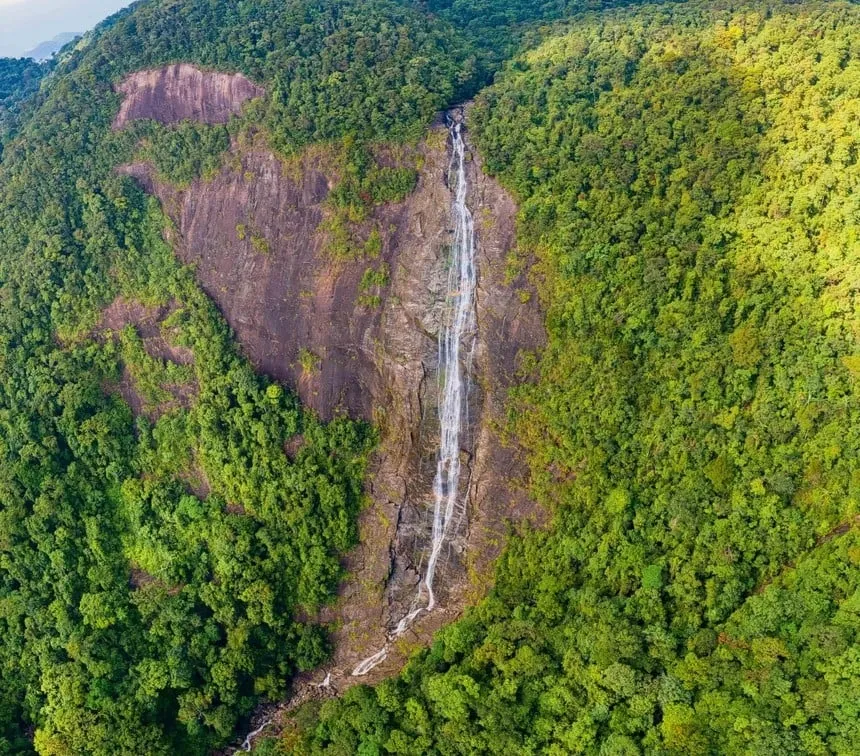 Day Tour | Bach Ma National Park Trekking Experience (Departs from Hue/Da Nang)