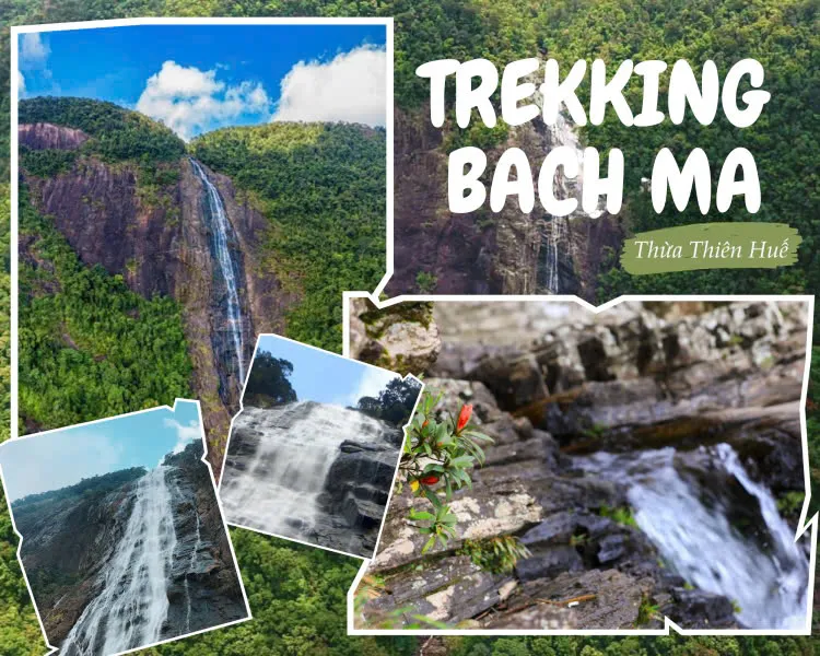 Day Tour | Bach Ma National Park Trekking Experience (Departs from Hue/Da Nang)