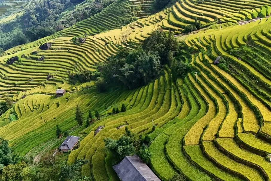 3D2N Tour | Discover Majestic Nature in Ha Giang and Hoang Su Phi by Army Jeep Departs from Hanoi | Ha Giang