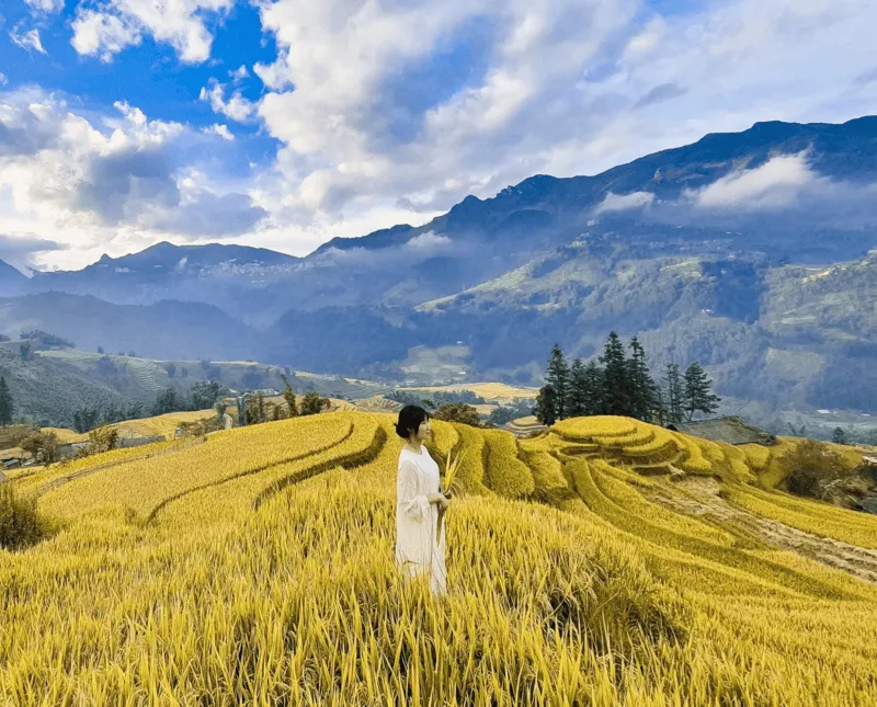 3D2N Tour | Exploring Famous Landmarks in Sapa Town | Departs from Hanoi