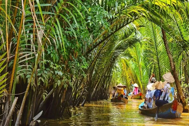 Day Tour | Explore the Mekong Delta to Ben Tre by Speedboat | Departs from Ho Chi Minh City