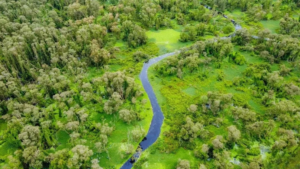 3D2N Tour | Discover the Waterways of the Mekong Delta: My Tho - Ben Tre - Chau Doc - Can Tho | Departs from Thành phố Hồ Chí Minh