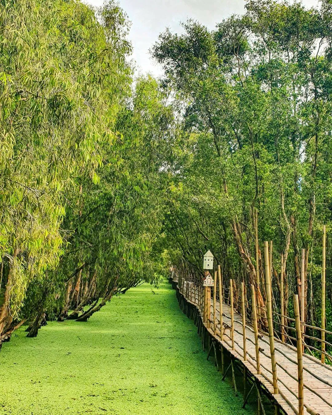 3D2N Tour | Discover the Waterways of the Mekong Delta: My Tho - Ben Tre - Chau Doc - Can Tho | Departs from Thành phố Hồ Chí Minh