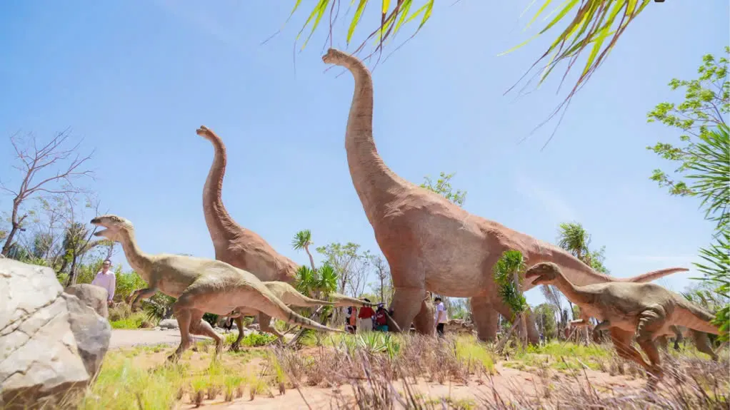 2D1N Tour | Exciting Entertainment Experience in Mui Ne | Departs from Ho Chi Minh City