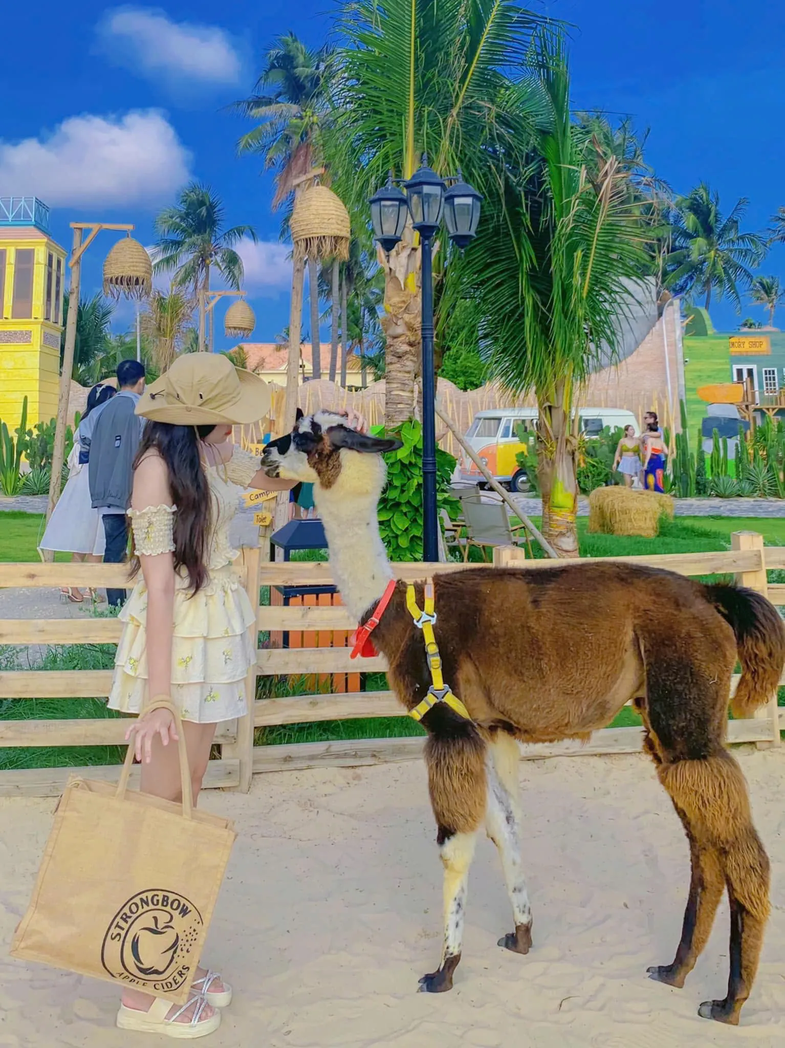 2D1N Tour | Exciting Entertainment Experience in Mui Ne | Departs from Ho Chi Minh City