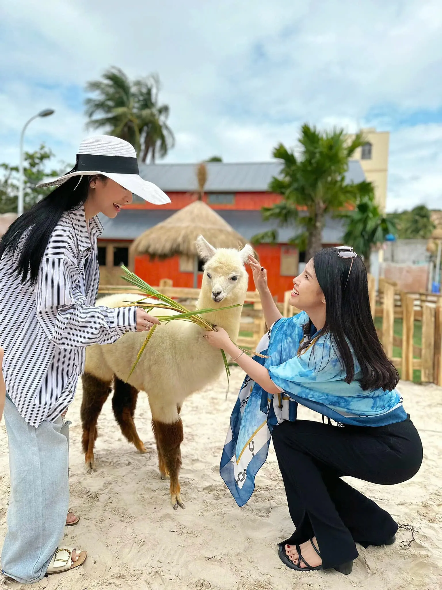 2D1N Tour | Exciting Entertainment Experience in Mui Ne | Departs from Ho Chi Minh City