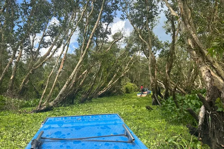 4D3N Tour | Mekong Delta Experience: My Tho - Ben Tre - Chau Doc - Can Tho - Ca Mau | Departs from Ho Chi Minh City