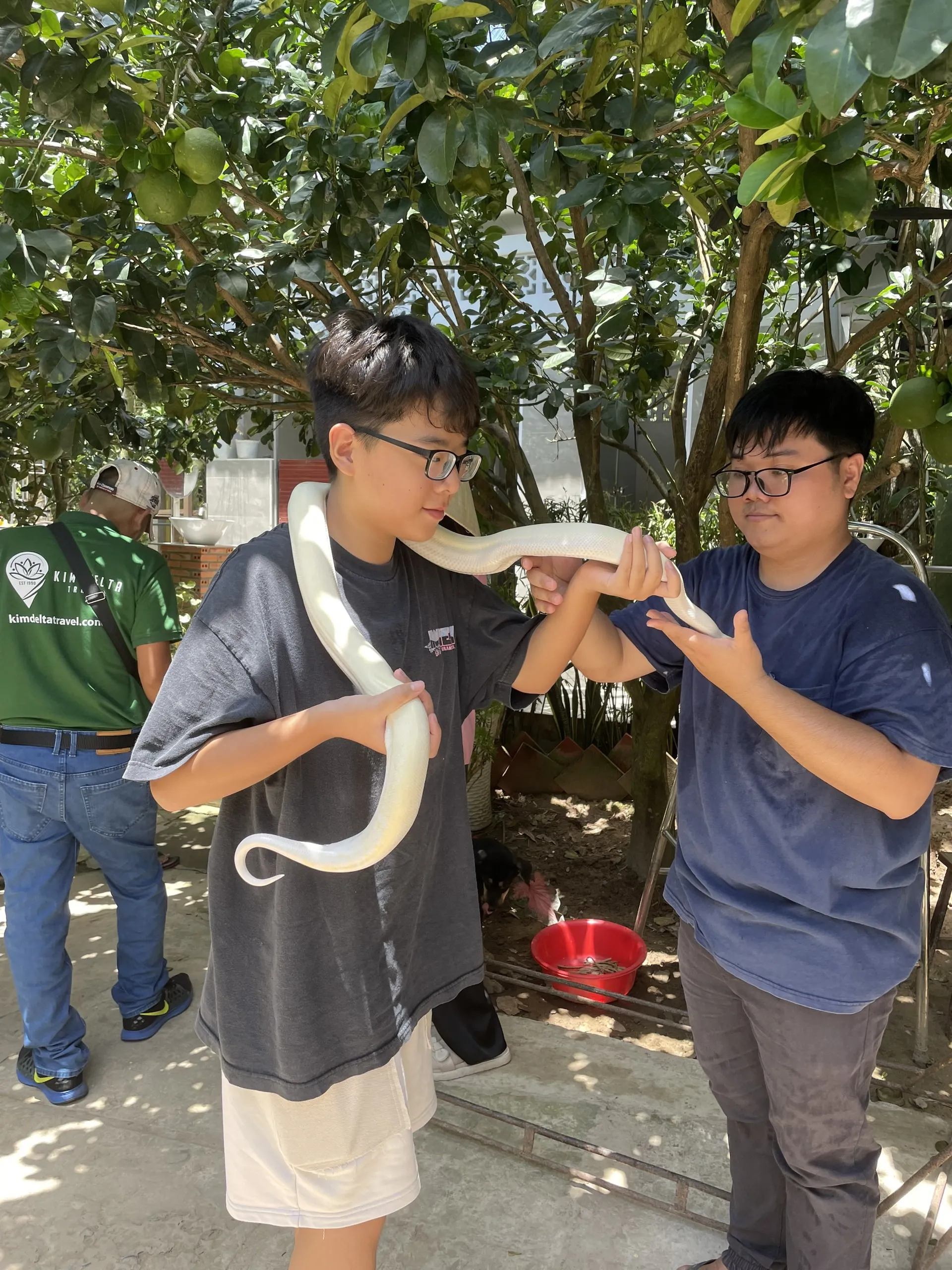 Day Tour | Mekong Delta Discovery to My Tho - Ben Tre | Departs from Ho Chi Minh City
