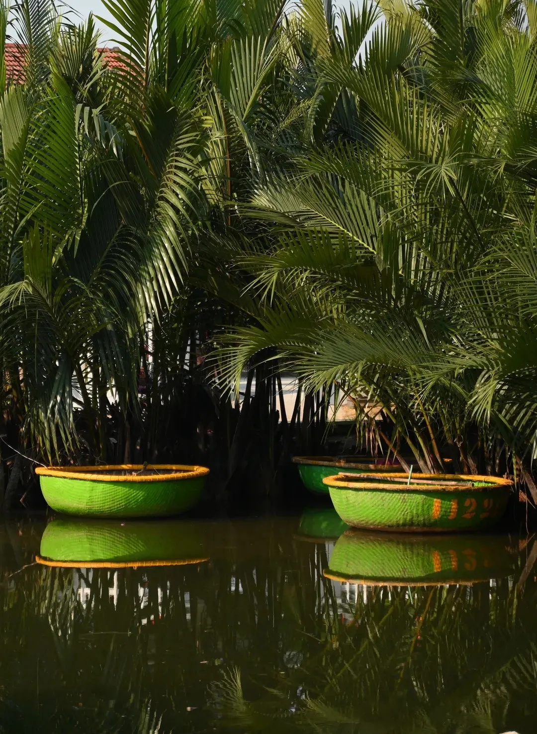 Day Tour I Hoi An Nature Discovery Tour with HoianGo E-car | Hoi An