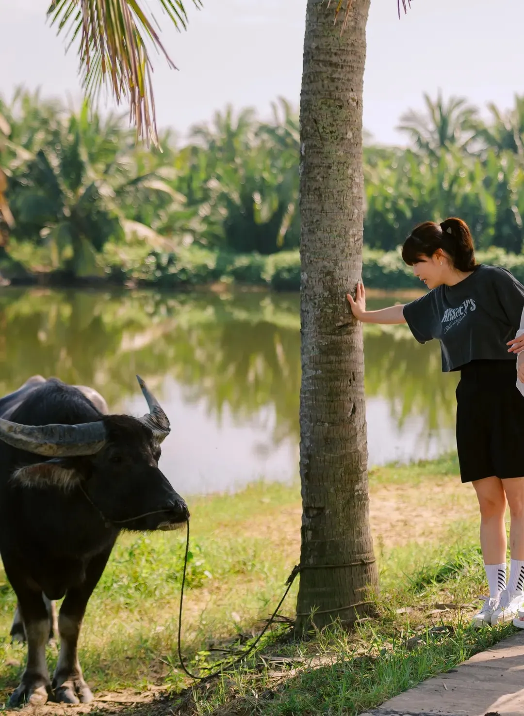 Day Tour I Hoi An Nature Discovery Tour with HoianGo E-car | Hoi An