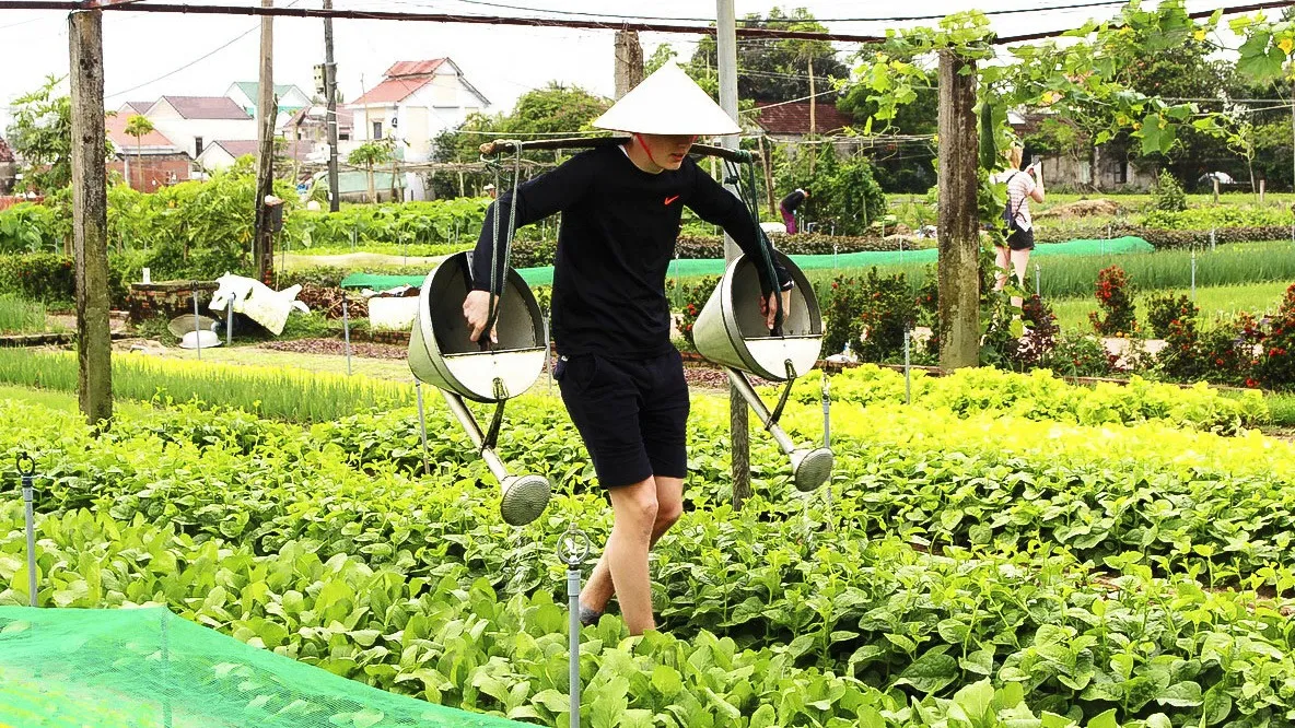 Day Tour I Hoi An Nature Discovery Tour with HoianGo E-car | Hoi An