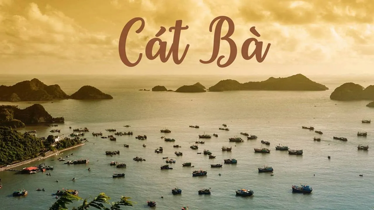  3D2N Tour | Discover Lan Ha Bay and Cat Ba Nature | Departs from Hanoi 