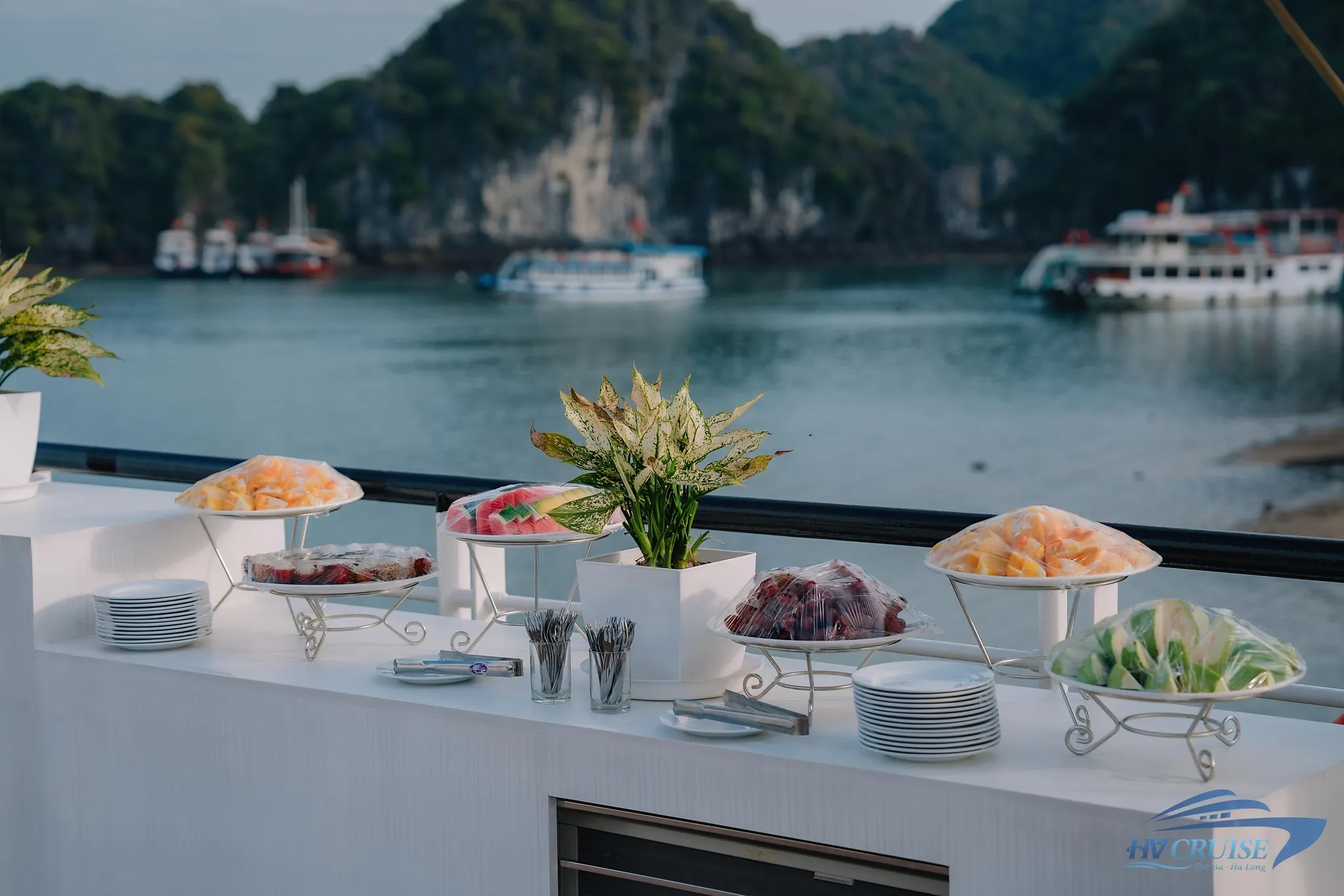 Day Tour | Discover Lan Ha Bay and Viet Hai Village with Dream Cruise | Departs from Cat Ba