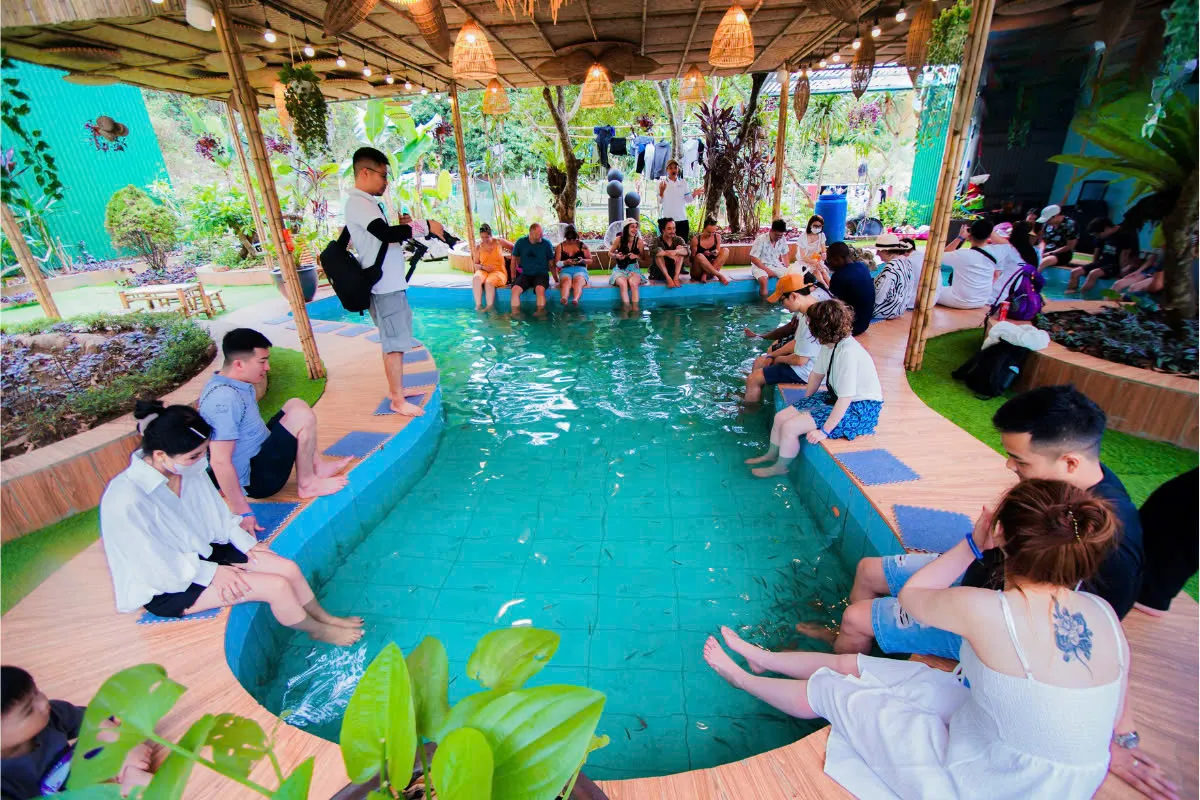 Day Tour | Discover Lan Ha Bay and Viet Hai Village with Dream Cruise | Departs from Cat Ba