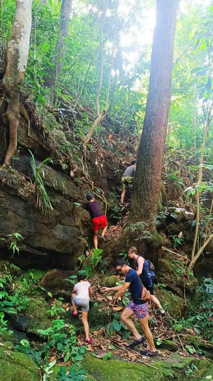 Vé trải nghiệm khu sinh thái YesHue Eco