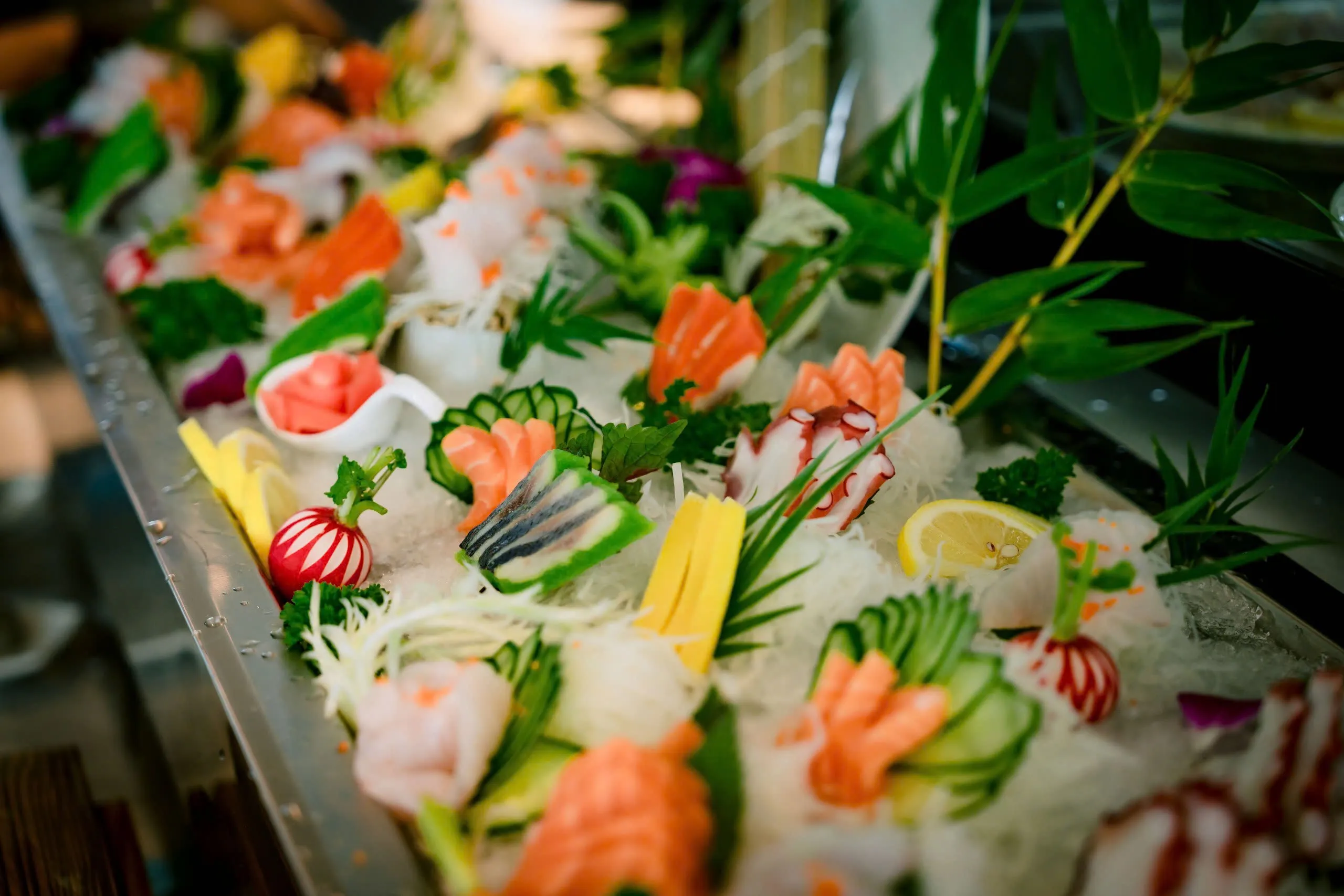 Day Tour | Enjoy Dinner on the 5-Star Luna Cruise
