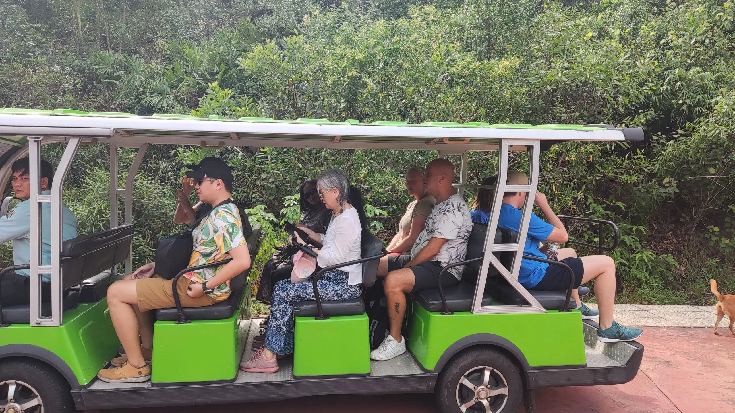 Day Tour | Exploring Marble Mountains & My Son Sanctuary Sunset Experience | Departs from Hoi An
