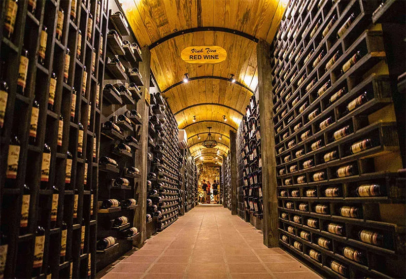 Day Tour | Excursion to Ba Na Hills & Golden Bridge | Departs Hoi An