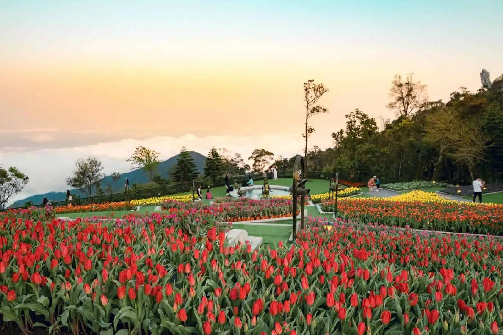 Day Tour | Excursion to Ba Na Hills & Golden Bridge | Departs Hoi An