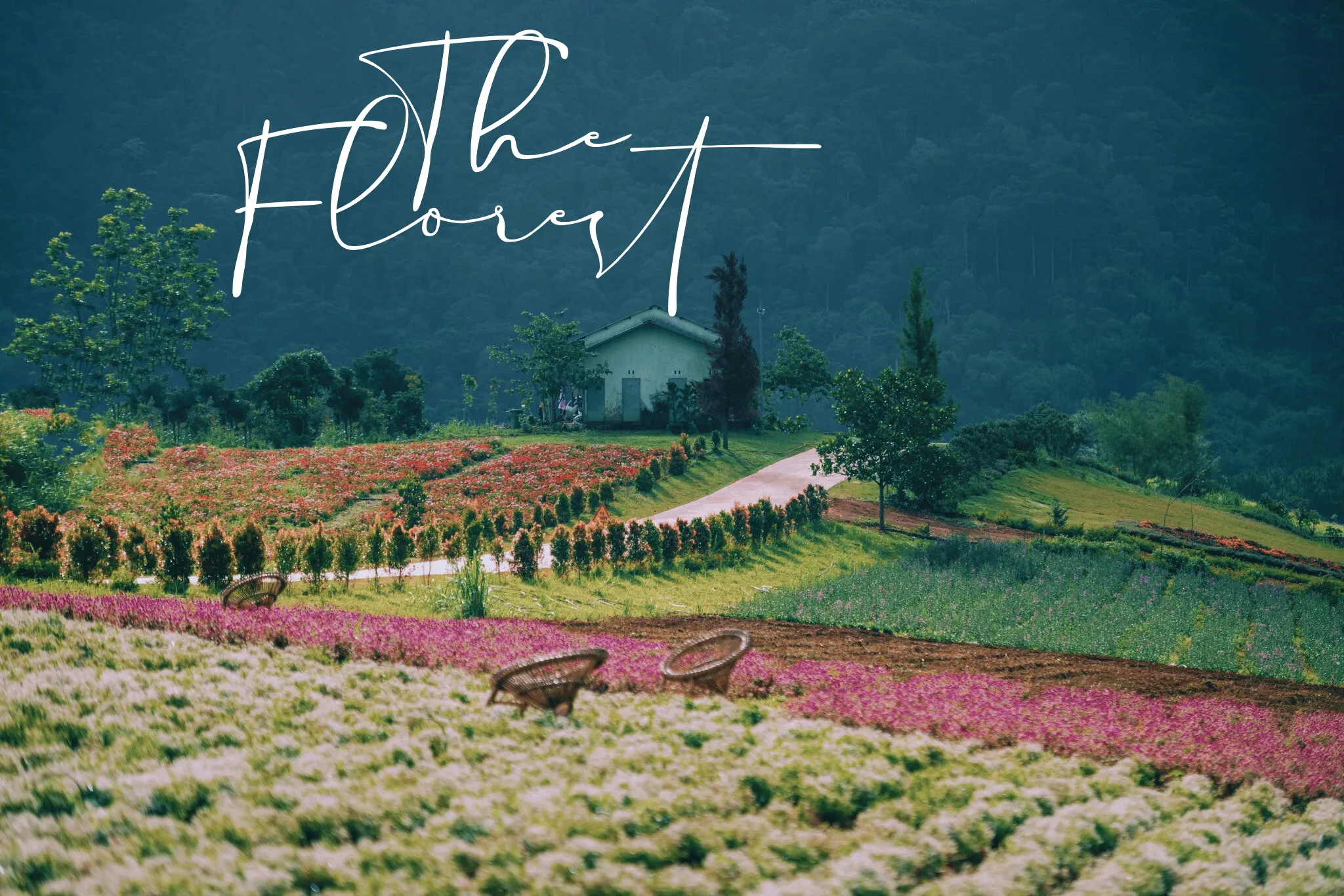 Vé vào cổng The Florest - Hoa Trong Rừng | Đà Lạt