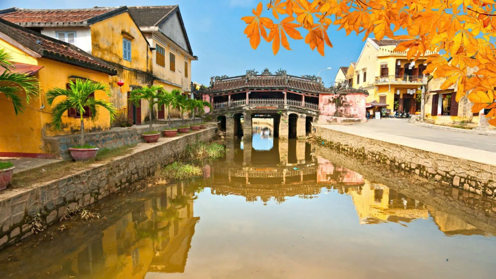 Day Tour | Discovering Hoi An & Basket Boat Experience in Cam Thanh Coconut Forest | Departs from Hoi An