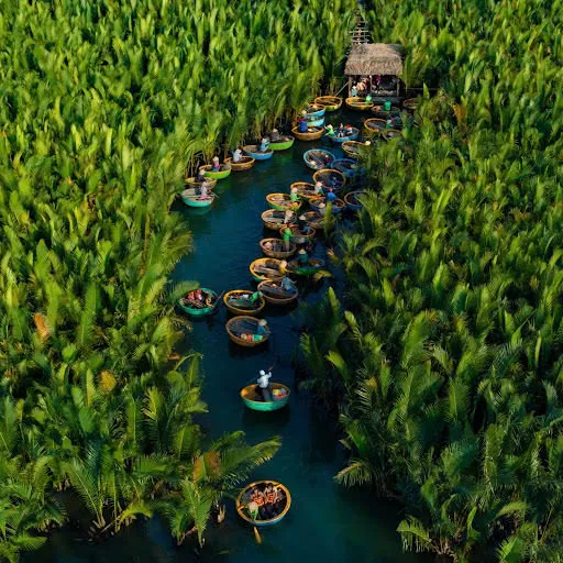 Day Tour | Hoi An Eco Tour: Cycling, Basket Boat Ride, Fishing Experience | Day Trip from Hoi An