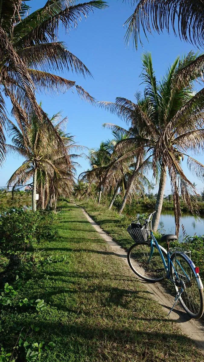 Day Tour | Hoi An Eco Tour: Cycling, Basket Boat Ride, Fishing Experience | Day Trip from Hoi An