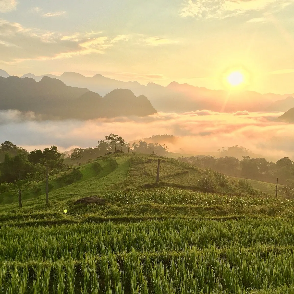 3D2N Tour | Pu Luong Discovery Trekking Tour Departing from Hanoi