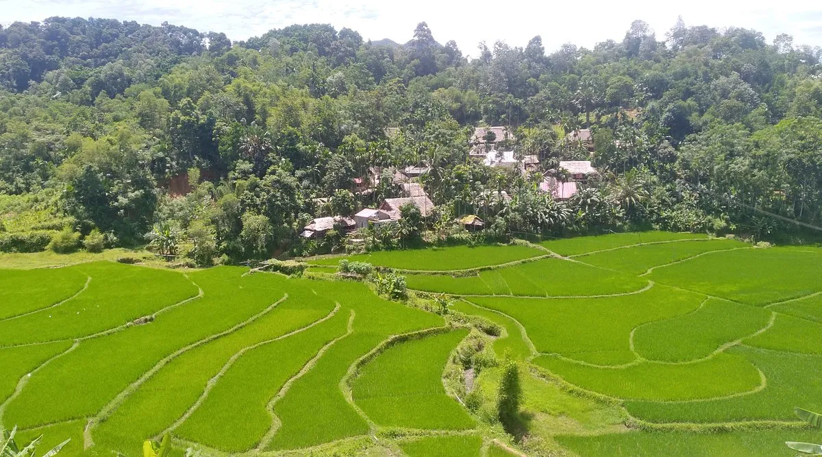 2D1N Tour | Pu Luong Discovery Trekking Tour from Hanoi