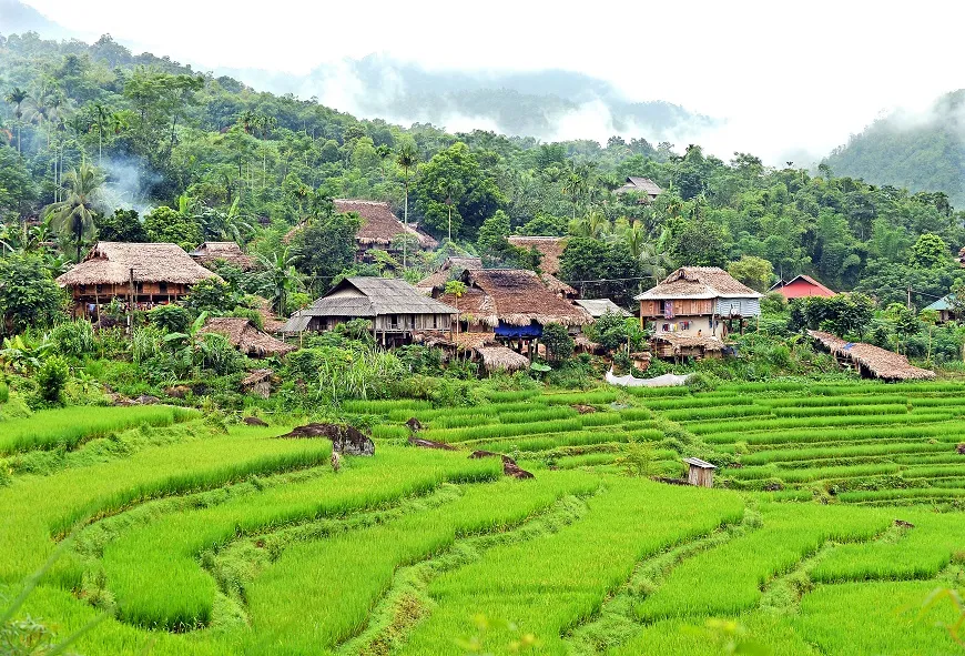 Day Tour | Explore Pu Luong from Hanoi