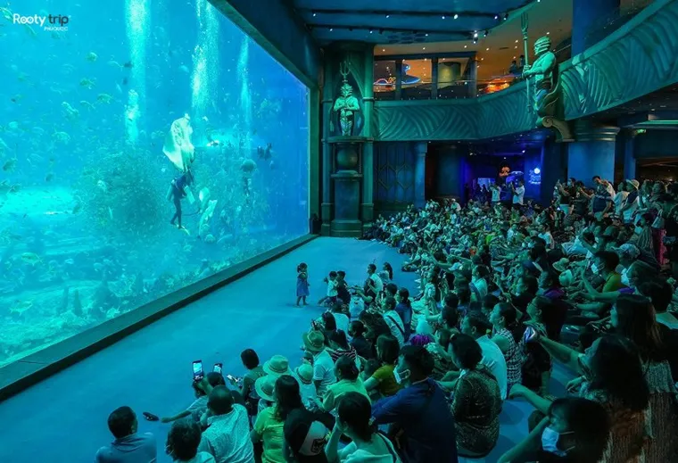 Phu Quoc Aquarium: An Aquatic Journey on Pearl Island
