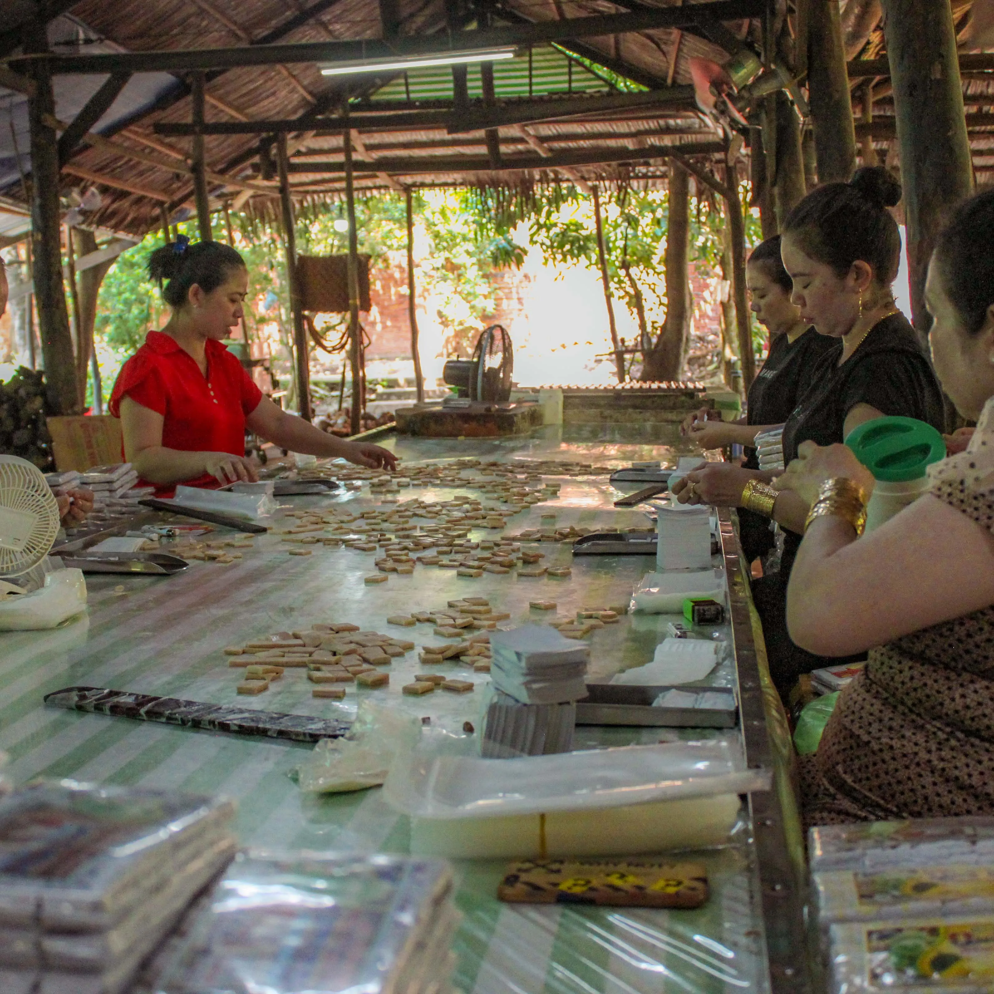 2D1N | Mekong Delta Discovery Tour: Cai Be - Can Tho | Departs from Ho Chi Minh City