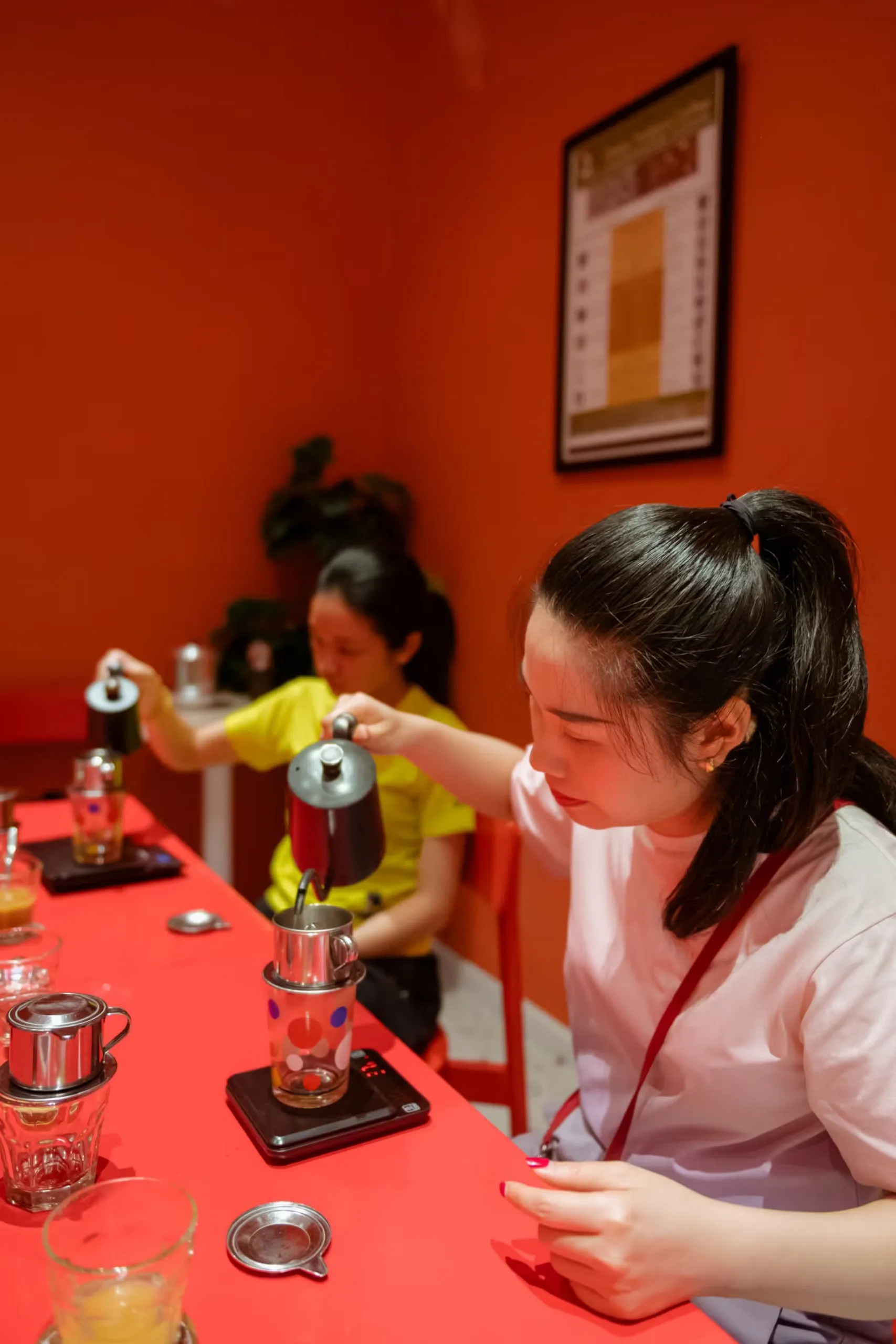 Day Tour | Vietnam’s coffee journey – The unknown giant