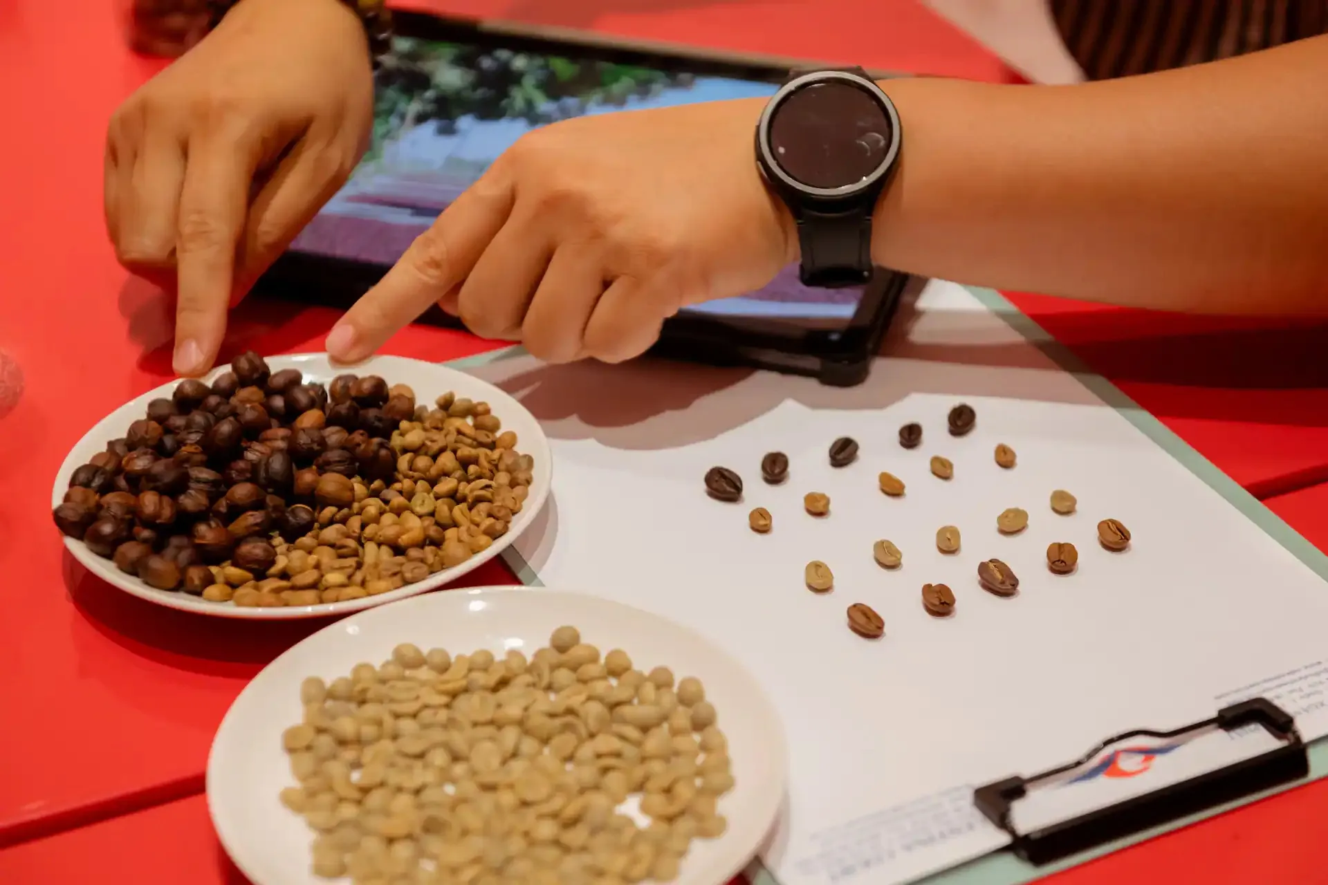 Day Tour | Vietnam’s coffee journey – The unknown giant