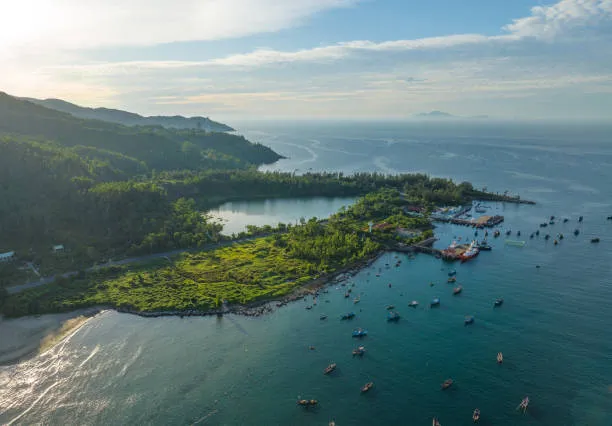 The Son Tra Peninsula is renowned for its diverse marine ecosystem, pristine beaches, and breathtaking natural landscapes