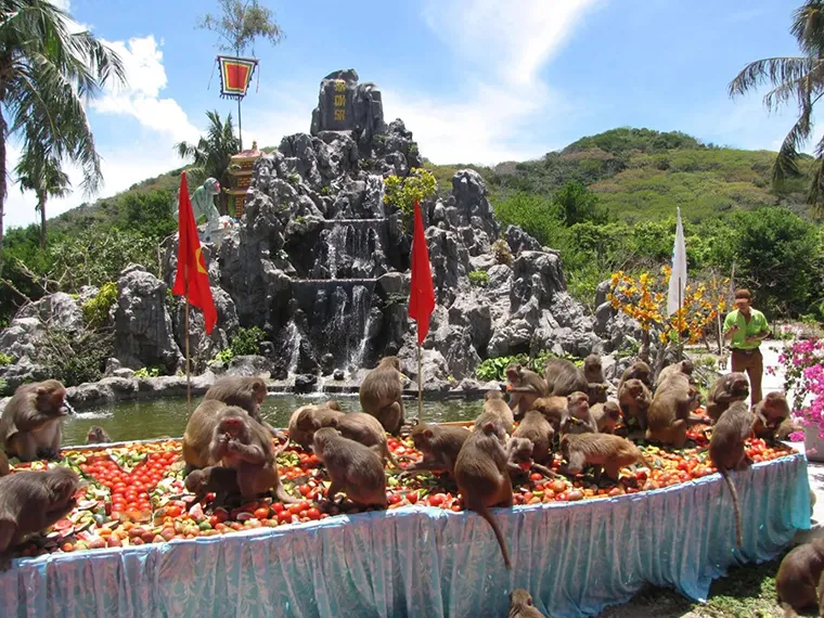 Explore Monkey Island is one of the best things to do in Nha Trang Vietnam