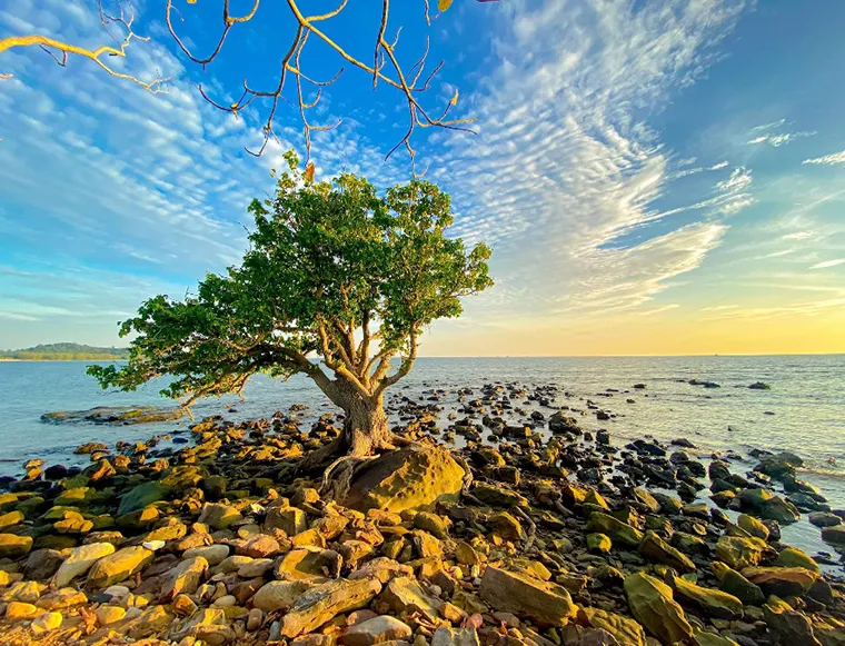 Doi Moi Island in Phu Quoc